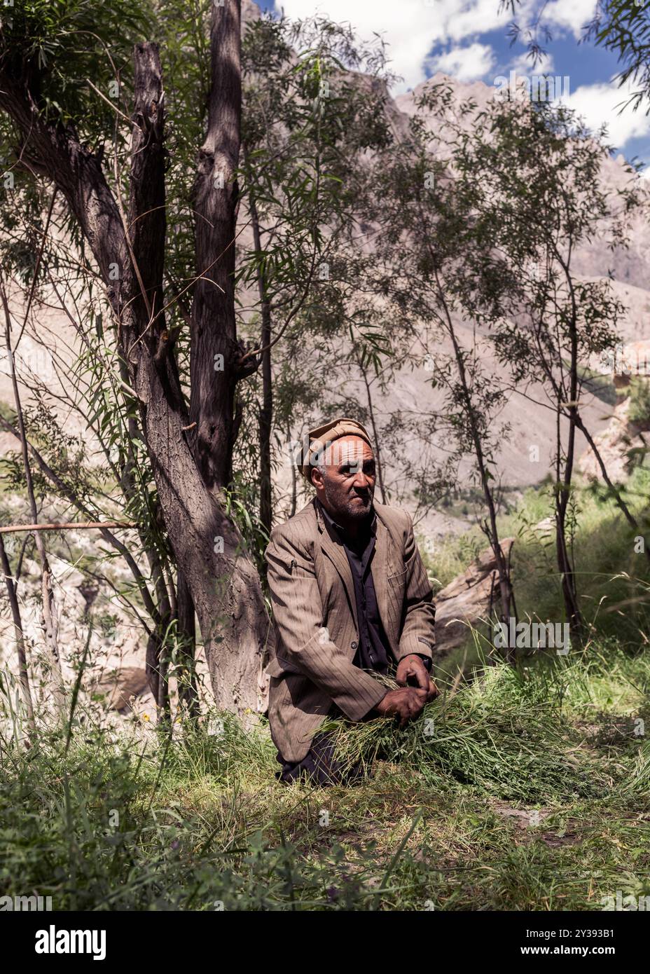 Le fermier va ramasser l'herbe du village de Hushe Banque D'Images