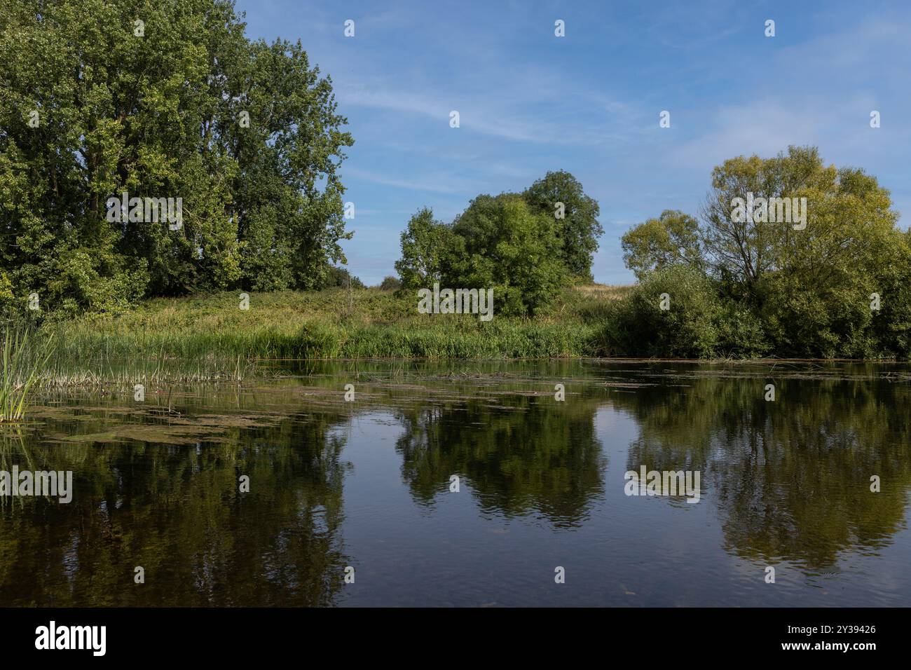 Rivière Boyne très calme lors d'une magnifique journée d'été irlandaise Banque D'Images