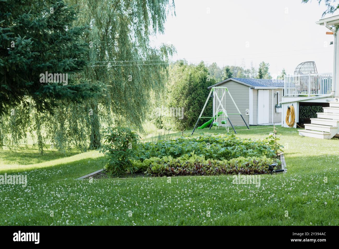 Vue arrière d'un jardin et balançoires Banque D'Images