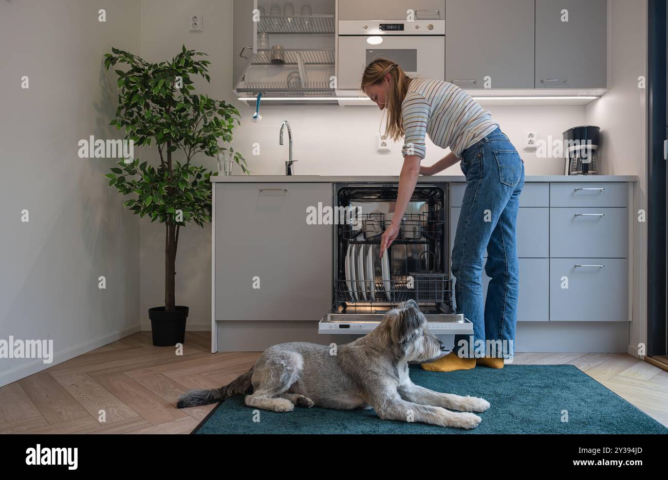 Femme chargeant la vaisselle sale dans le lave-vaisselle et son chien allongé sur le sol Banque D'Images