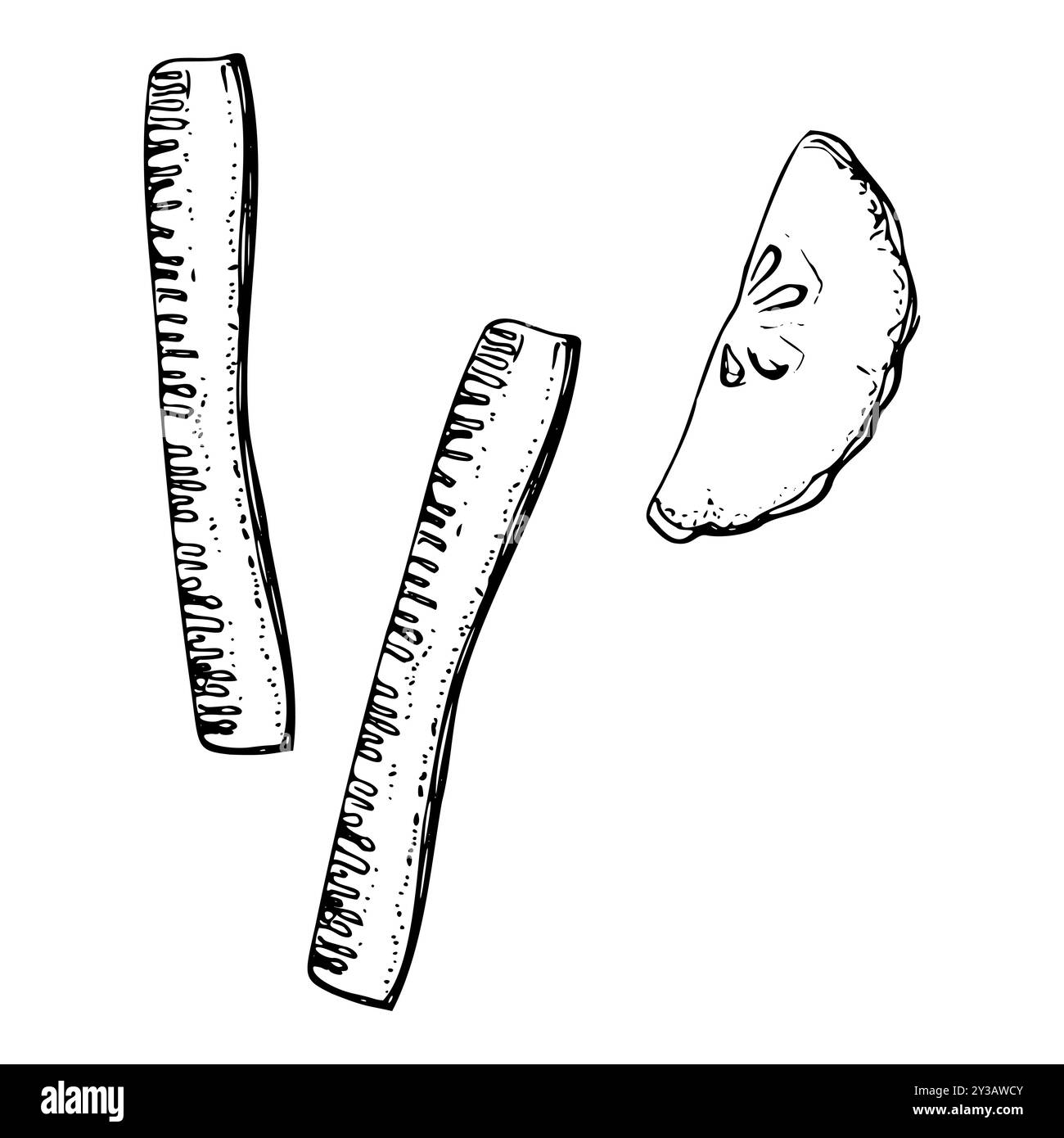Concombre vert courge de courgettes tranches de légumes pour l'alimentation et un mode de vie sain, salade végétalienne crue. Illustration dessinée à la main dans le stylo vectoriel et l'encre Illustration de Vecteur