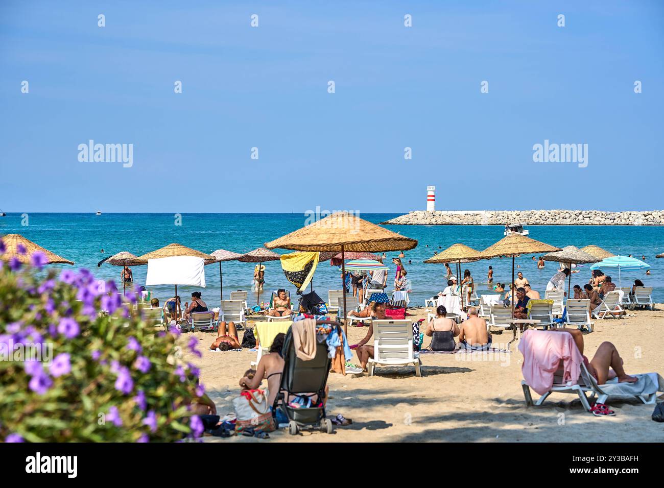 Kusadasi, Turquie - 1 septembre 2024 : plage animée à Kusadasi, Turquie, à Belediye Plaji avec de nombreux vacanciers profitant du soleil et de la mer en été *** Belebter Strand à Kusadasi, Türkei, Am Belediye Plaji mit vielen Urlaubern, die sonne und Meer im Sommer genießen Banque D'Images