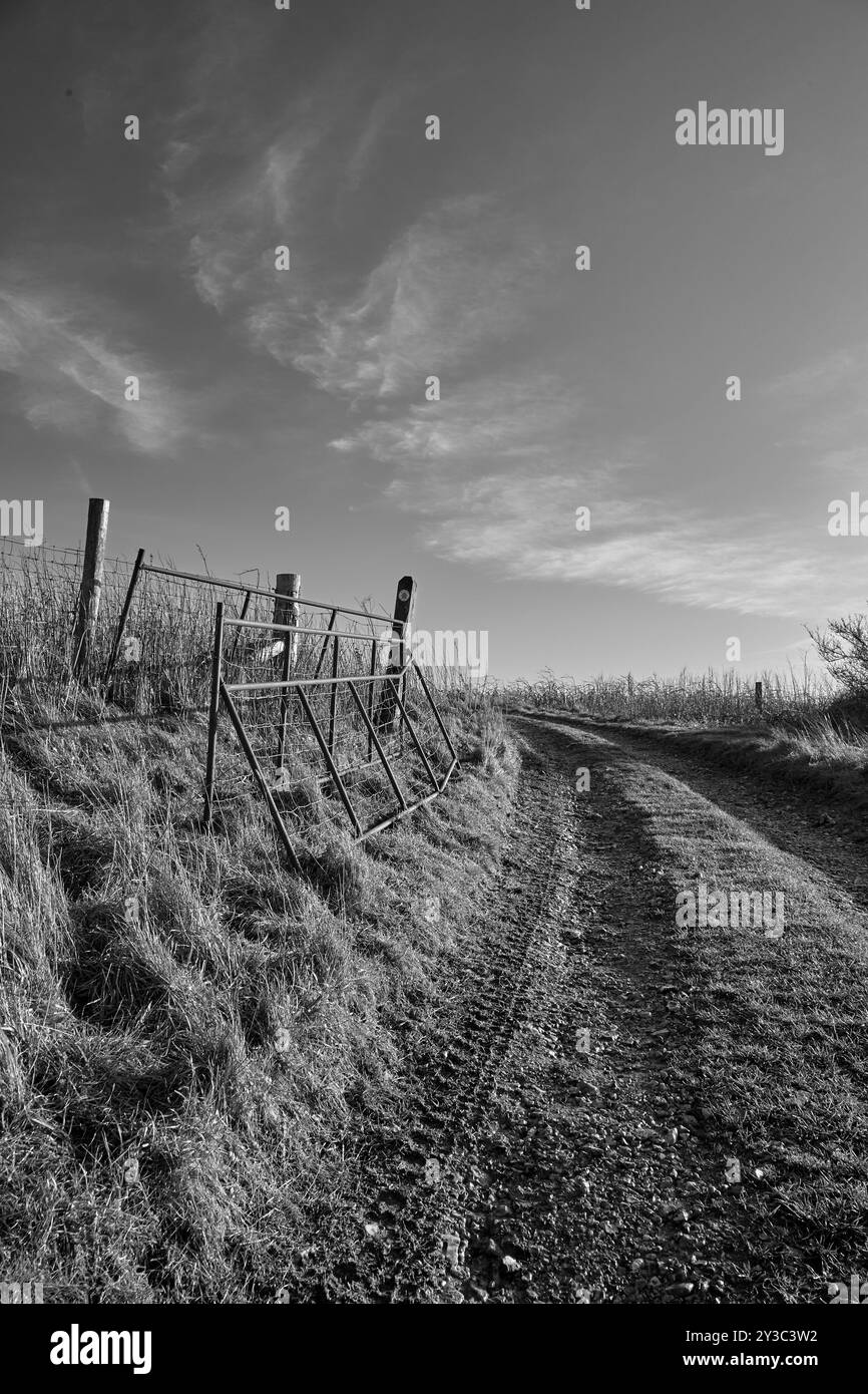 Image en noir et blanc d'un chemin de terre rural avec une porte de ferme, menant à travers une campagne sereine avec des nuages dans le ciel. Banque D'Images