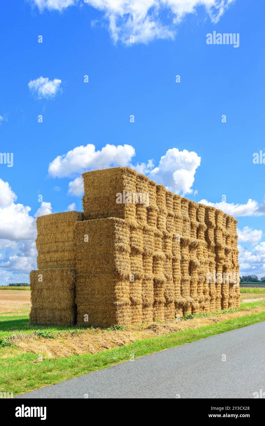 Grande pile de balles de paille à la lisière des terres agricoles après une récolte - Martizay, Indre (36), France. Banque D'Images
