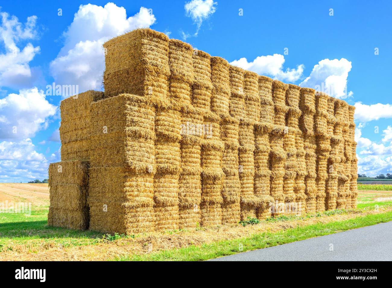 Grande pile de balles de paille à la lisière des terres agricoles après une récolte - Martizay, Indre (36), France. Banque D'Images