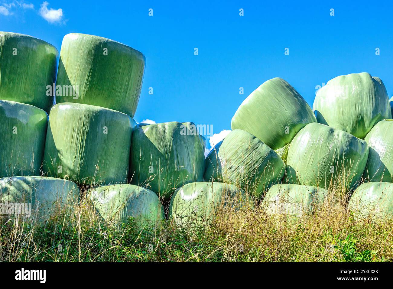 Pile de balles de paille d'emballage plastique tombant - Martizay, Indre (36), France. Banque D'Images