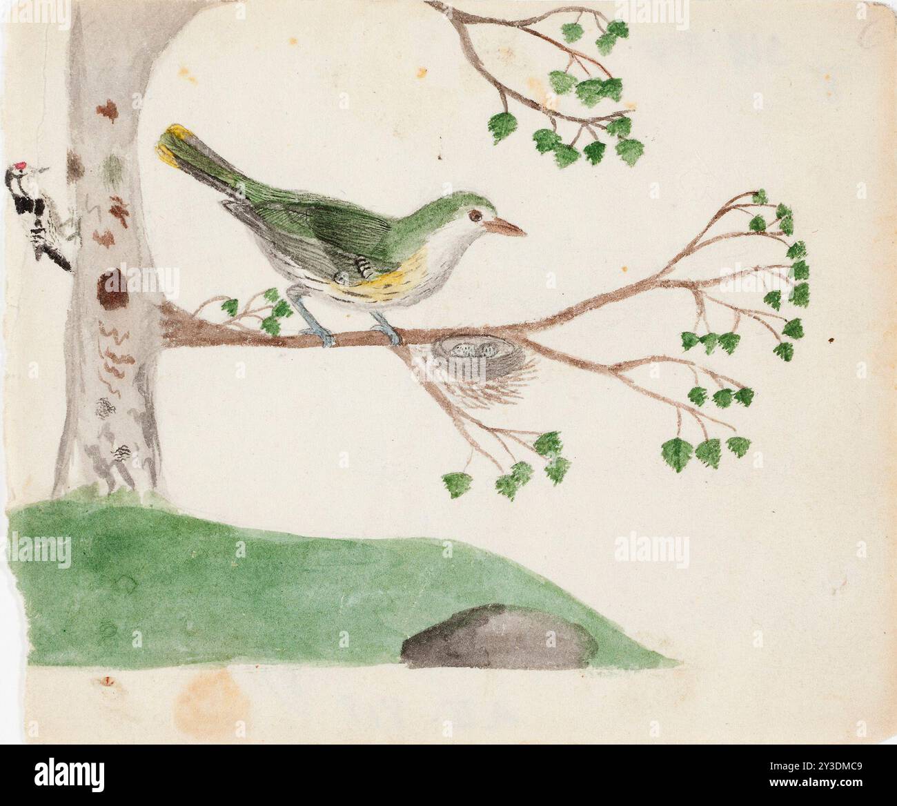 Pic à pois moindres (mâle) et Oriole dorée eurasienne (femelle), 1830. Banque D'Images