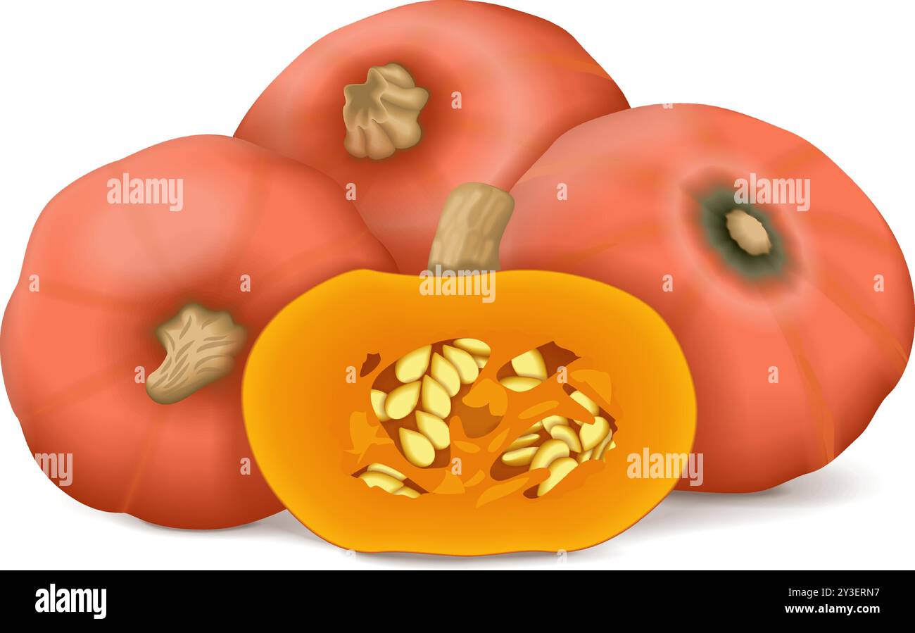 Entier et moitié de courge Sunshine kabocha. Courge d'hiver. Cucurbita maxima. Fruits et légumes. Illustration vectorielle isolée. Illustration de Vecteur