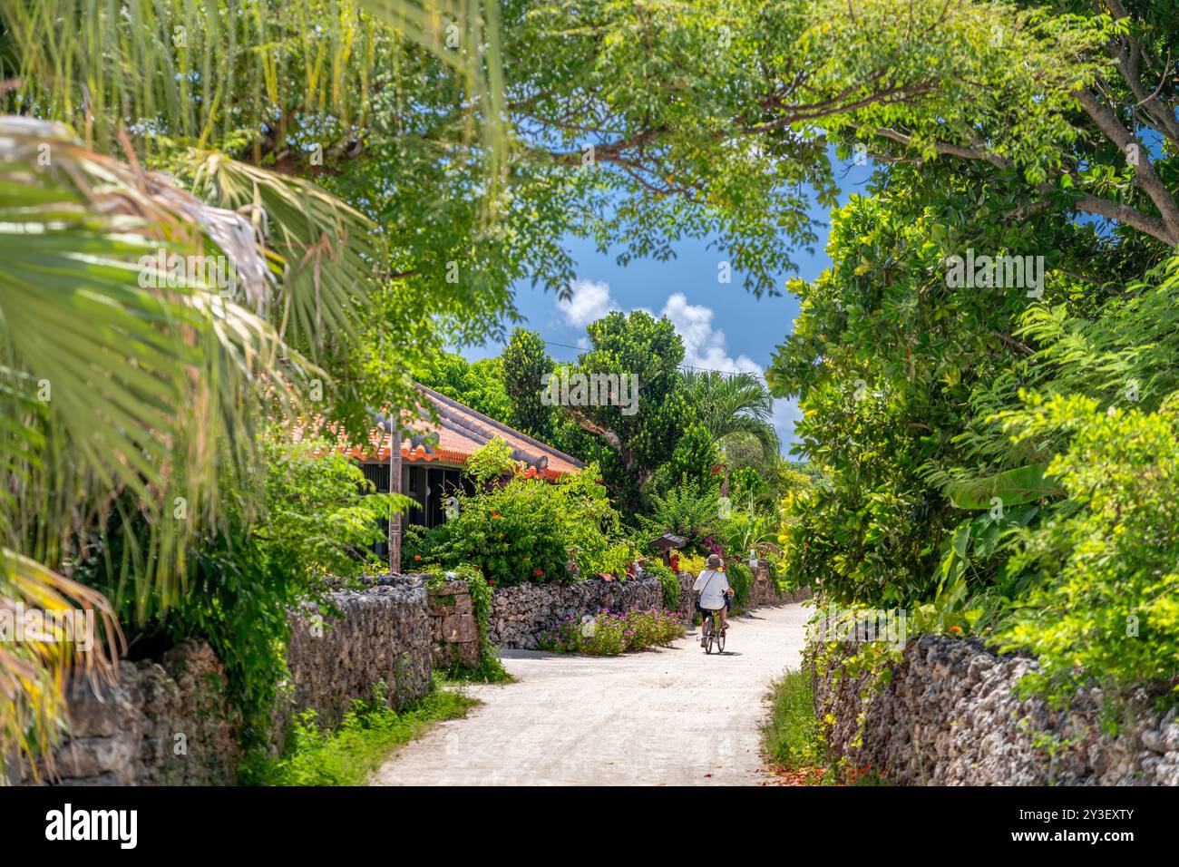 Taketomi, Okinawa, Japon routes de sable tropical. Banque D'Images