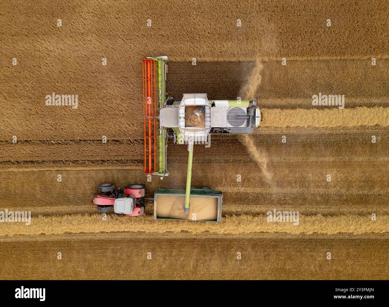 Rosyth, Écosse, Royaume-Uni. 13 septembre 2024. Vues aériennes d'une moissonneuse-batteuse travaillant dans les champs près de Rosyth à Fife. Le temps sec récent a permis aux agriculteurs de récolter leurs récoltes après un mauvais été. Iain Masterton/ Alamy Live News Banque D'Images