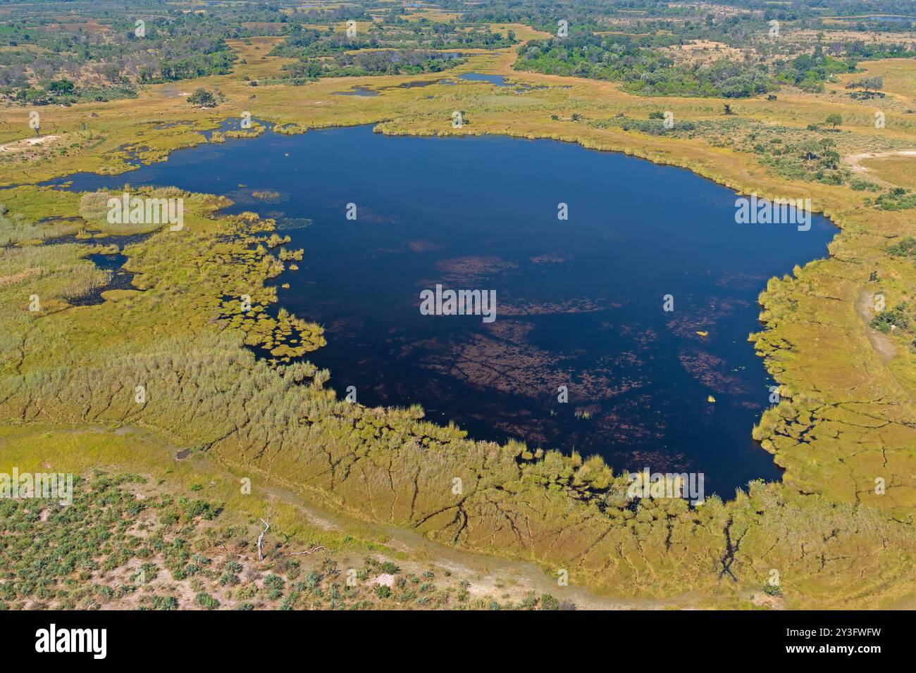 Vue aérienne d'une zone humide dans le delta de l'Okavango au Botswana Banque D'Images