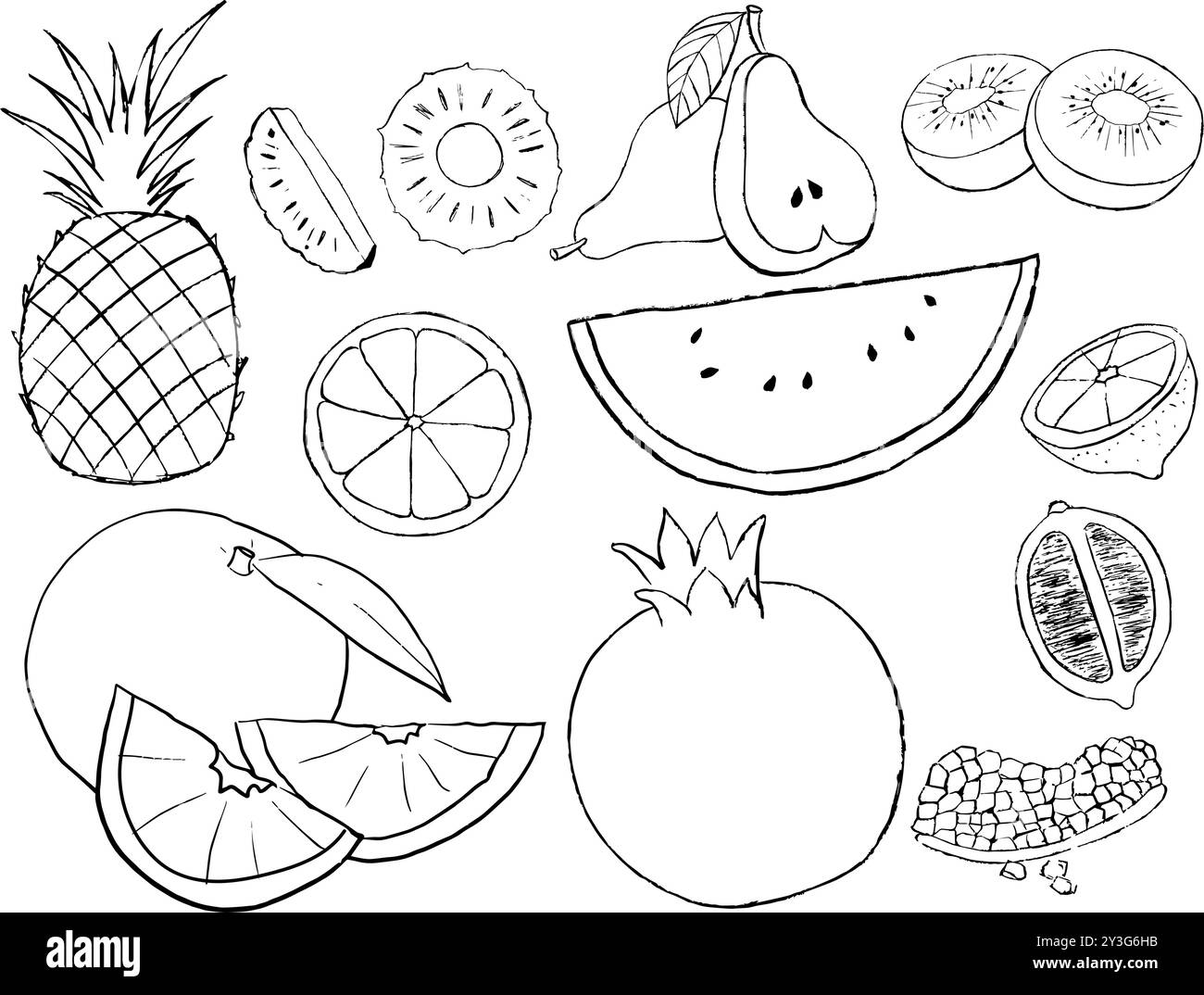 illustration dessinée à la main de la collection de fruits, ensemble de doodles de fruits Illustration de Vecteur