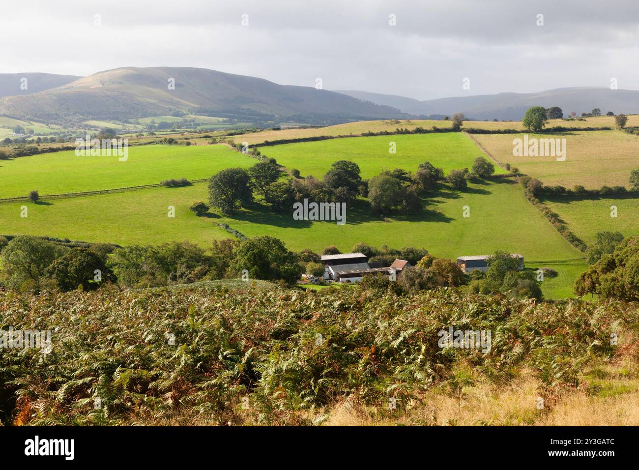 Vue de terres agricoles mixtes depuis le sommet de Mynydd Illtud, Brecon Beacons National Park, près de Brecon, Powys, pays de Galles, Royaume-Uni. Banque D'Images