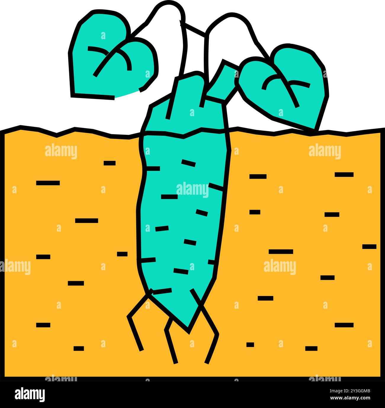 illustration de couleur d'icône wasabi de plante racinaire Illustration de Vecteur
