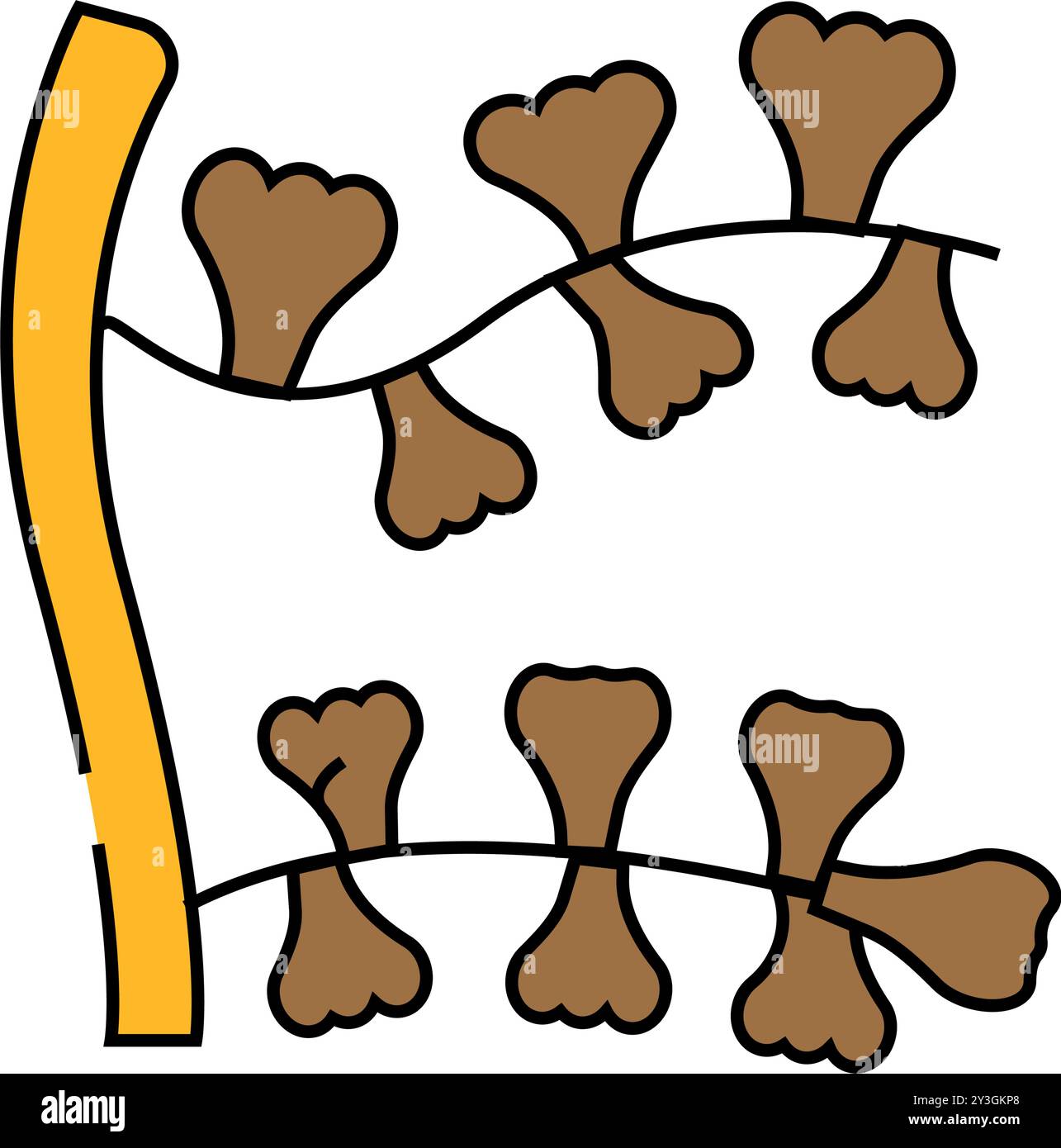 sargasses horneri icône d'algues couleur illustration Illustration de Vecteur