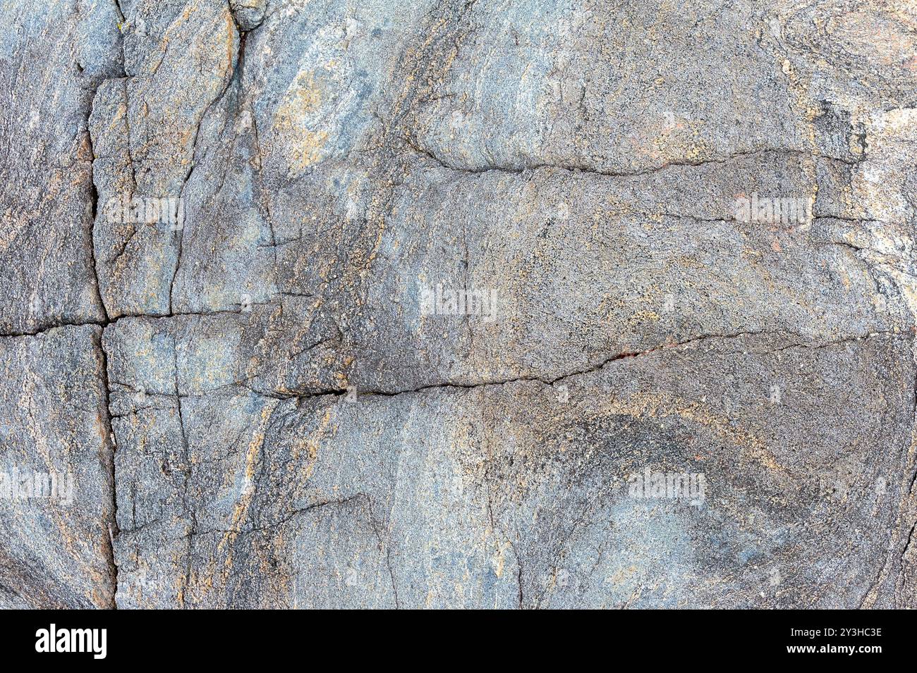 La vue rapprochée capture une surface rocheuse texturée, présentant une variété de teintes naturelles et de motifs complexes formés par des processus géologiques sur TI Banque D'Images