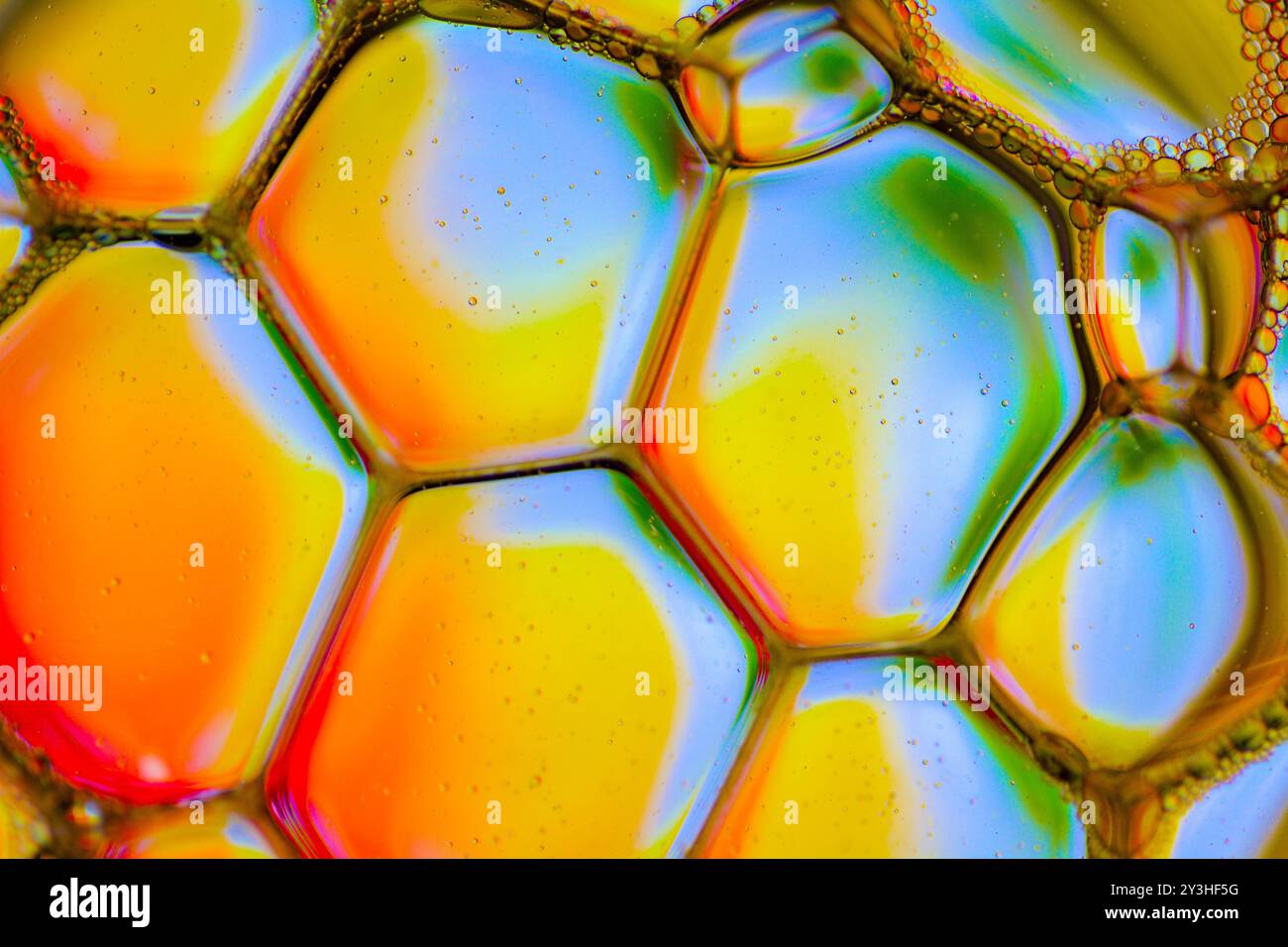 Macro photo de gouttes d'eau aux couleurs psychédéliques Banque D'Images