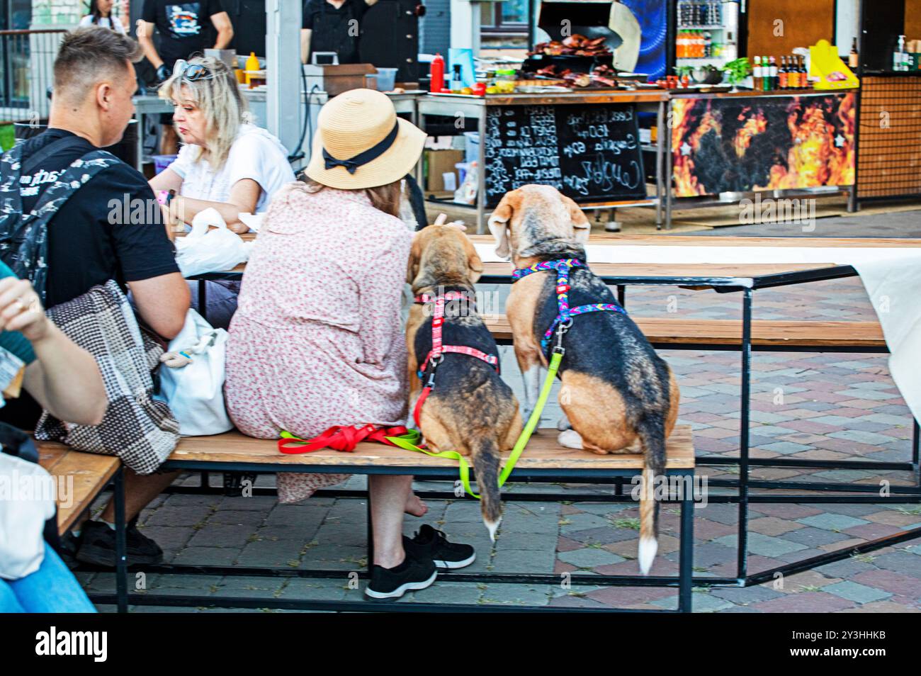 comportement du chien dans les lieux publics avec le propriétaire Banque D'Images