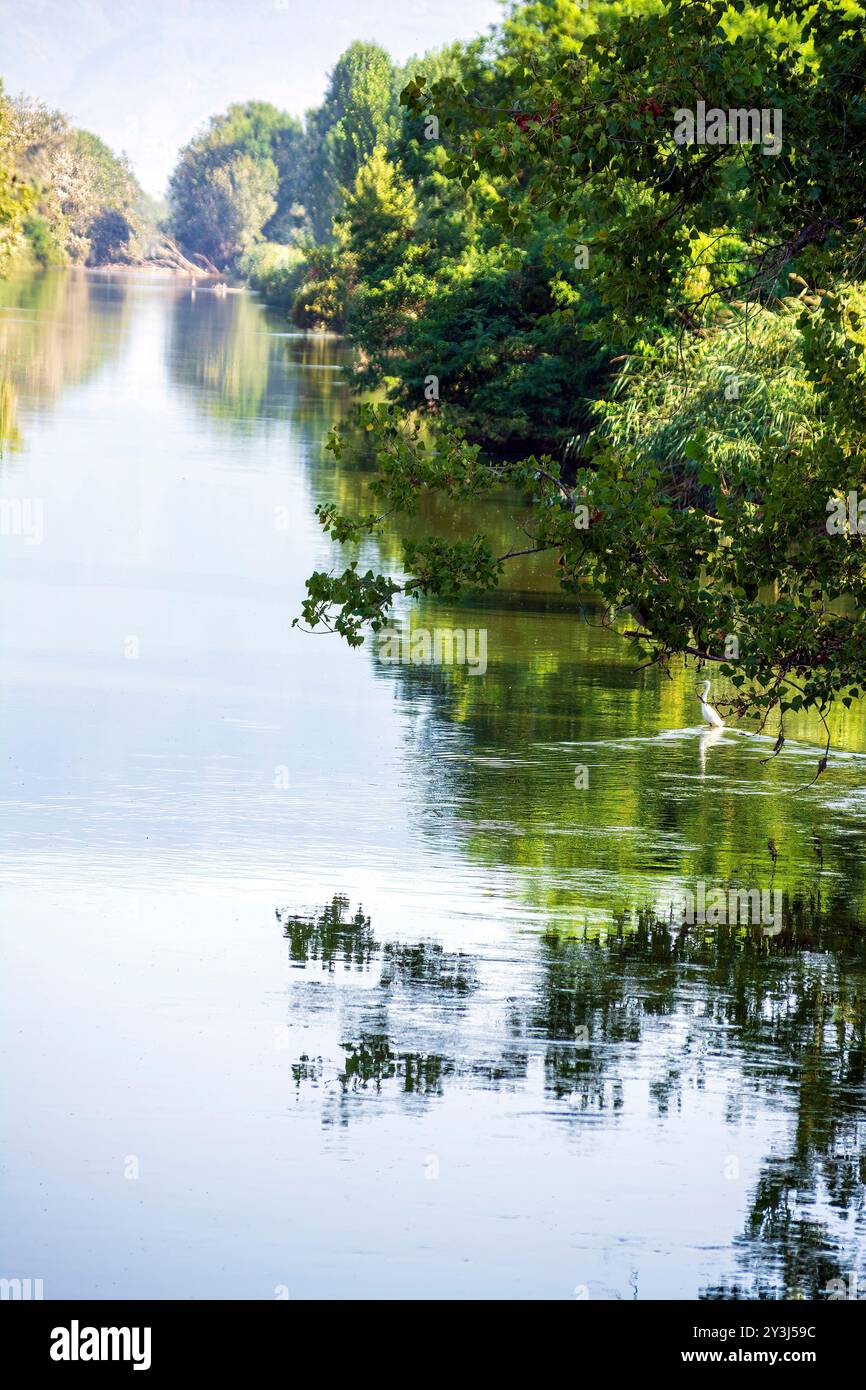 Une rivière paisible au lac Kerkini, en Grèce, reflétant les arbres verdoyants vibrants le long du rivage, avec une eau tranquille et une beauté naturelle sereine. Banque D'Images