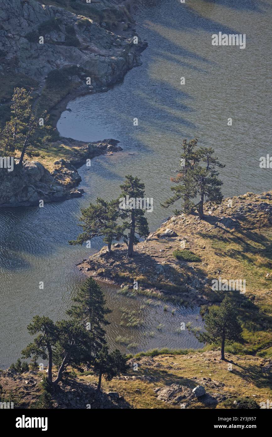 Lever de soleil sur les arbres de la rive du lac d'en haut Banque D'Images
