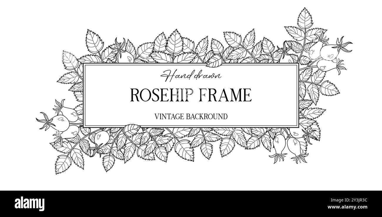 Cadre botanique d'automne dessiné à la main avec des feuilles de rose musquée. Illustration vectorielle dans le style d'esquisse isolé sur blanc. Élément de conception réaliste de rose musquée. Espace Illustration de Vecteur