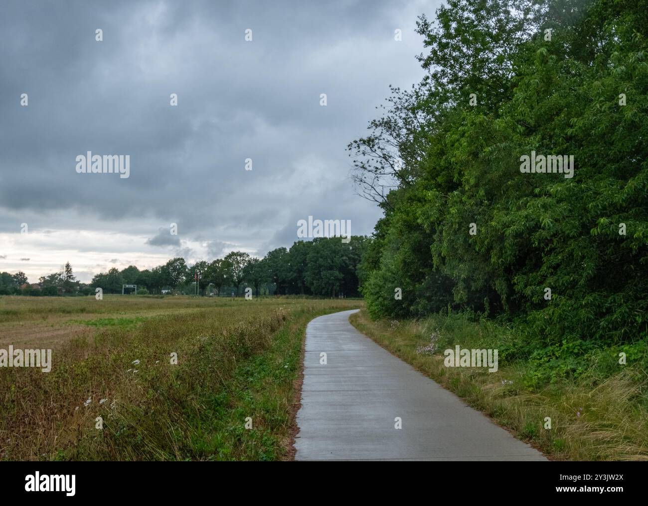 Un parc serein situé à la frontière Allemagne-pays-Bas, avec un sentier tranquille entouré d'une végétation luxuriante et sous un ciel nuageux. Contrôle de la carte. Banque D'Images