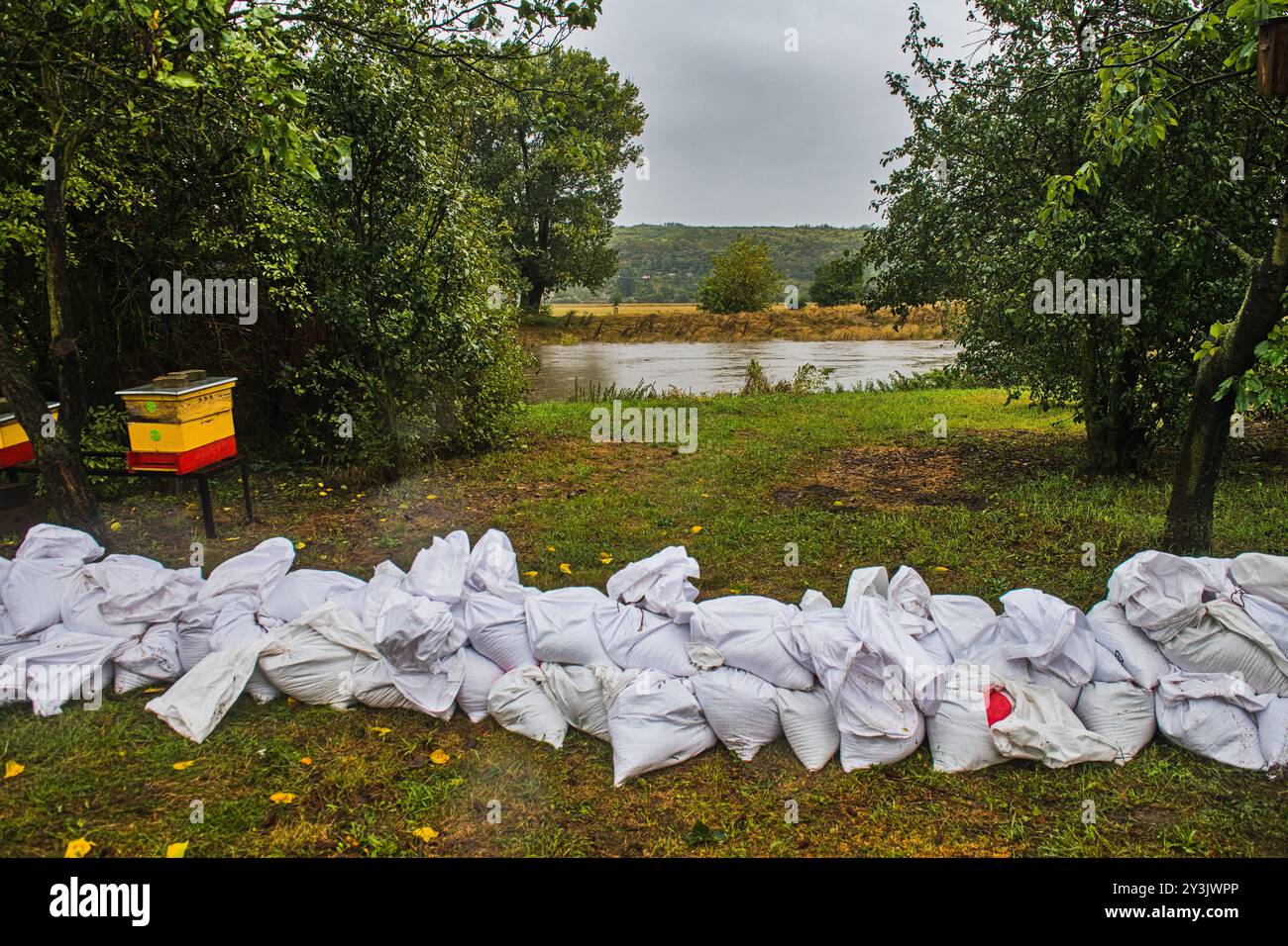 Zidlochovice, République tchèque. 14 septembre 2024. Inondation de la rivière Svratka, dont le niveau monte à Zidlochovice près de Brno, République tchèque, 14 septembre 2024. Crédit : Patrik Uhlir/CTK photo/Alamy Live News Banque D'Images