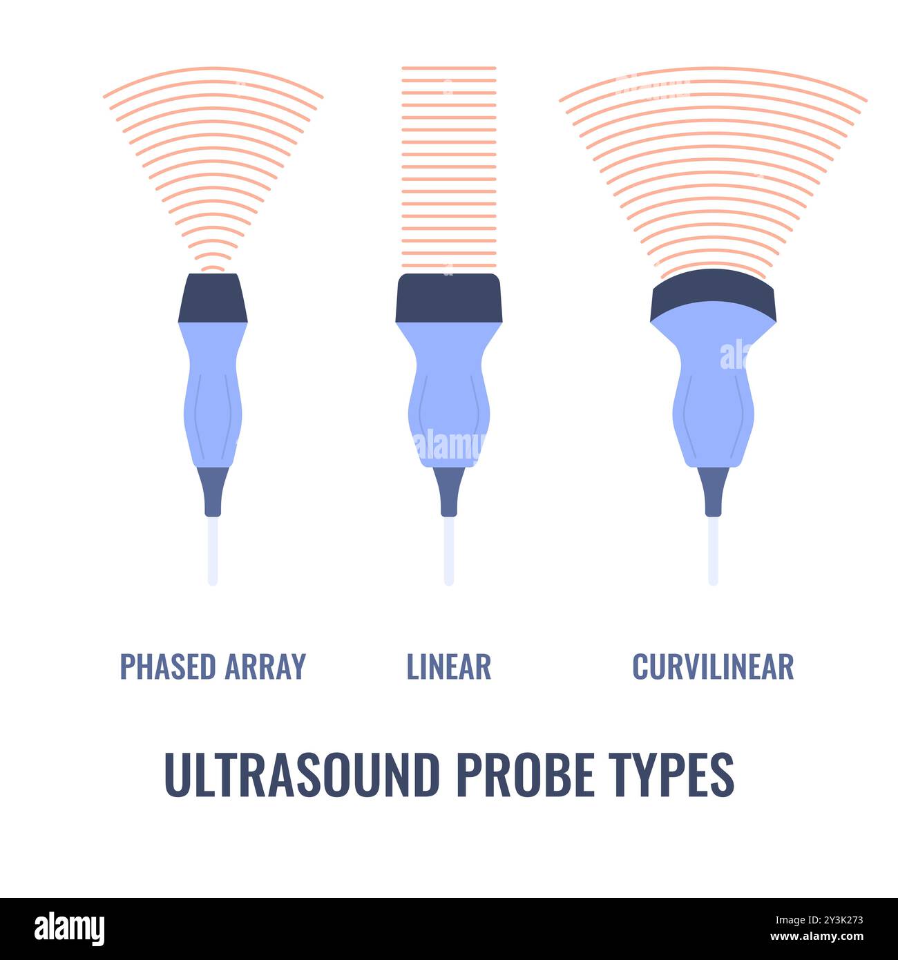 Sondes ultrasonores réglées pour diagramme échographique Illustration de Vecteur