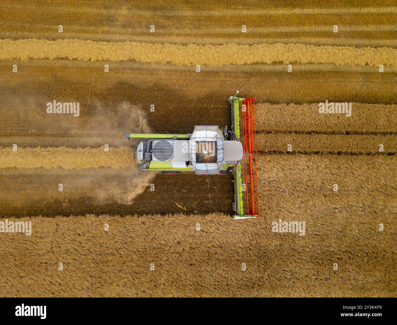 Vues aériennes d'une moissonneuse-batteuse travaillant dans les champs près de Rosyth à Fife., Écosse. Banque D'Images