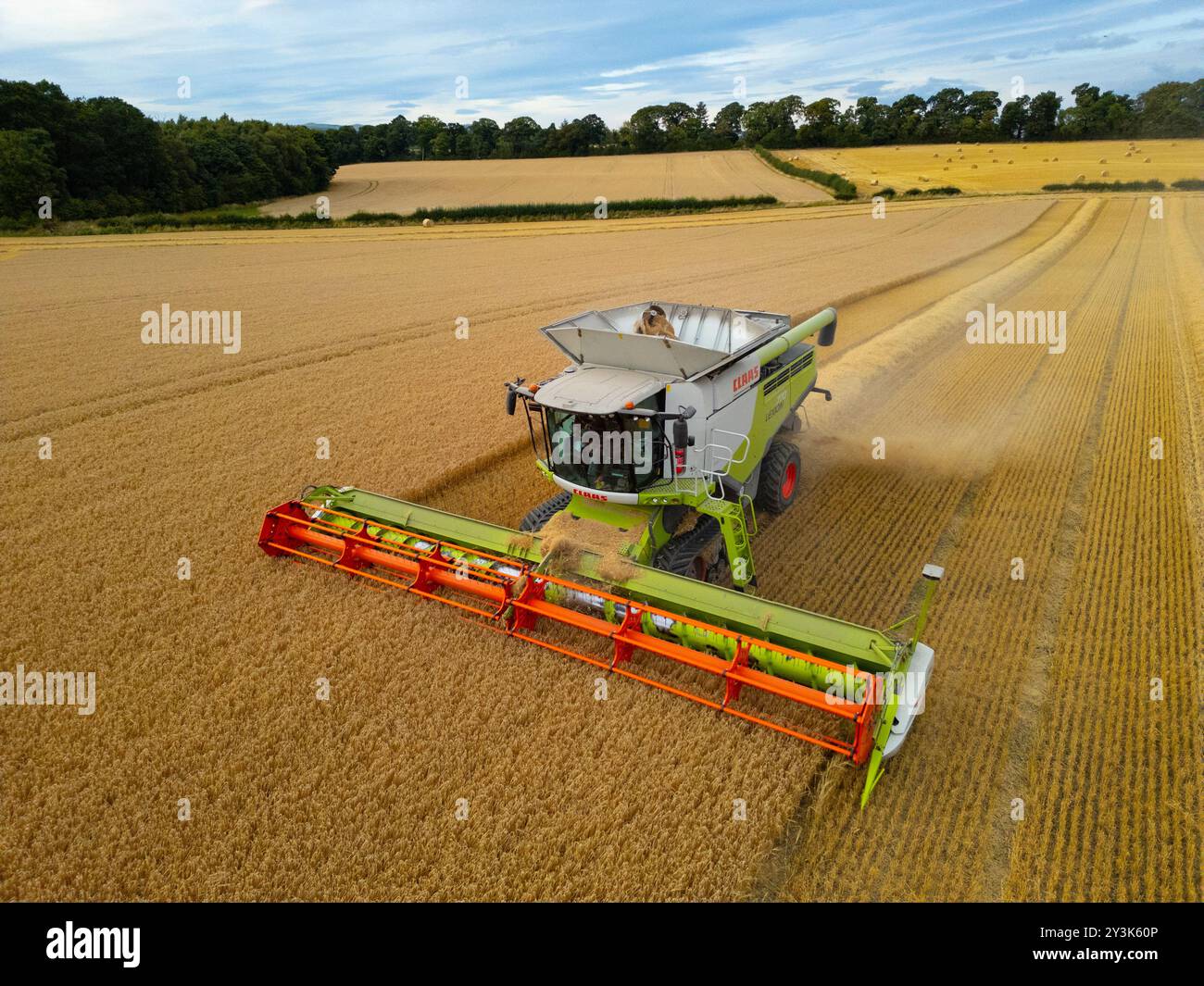 Vues aériennes d'une moissonneuse-batteuse travaillant dans les champs près de Rosyth à Fife., Écosse. Banque D'Images