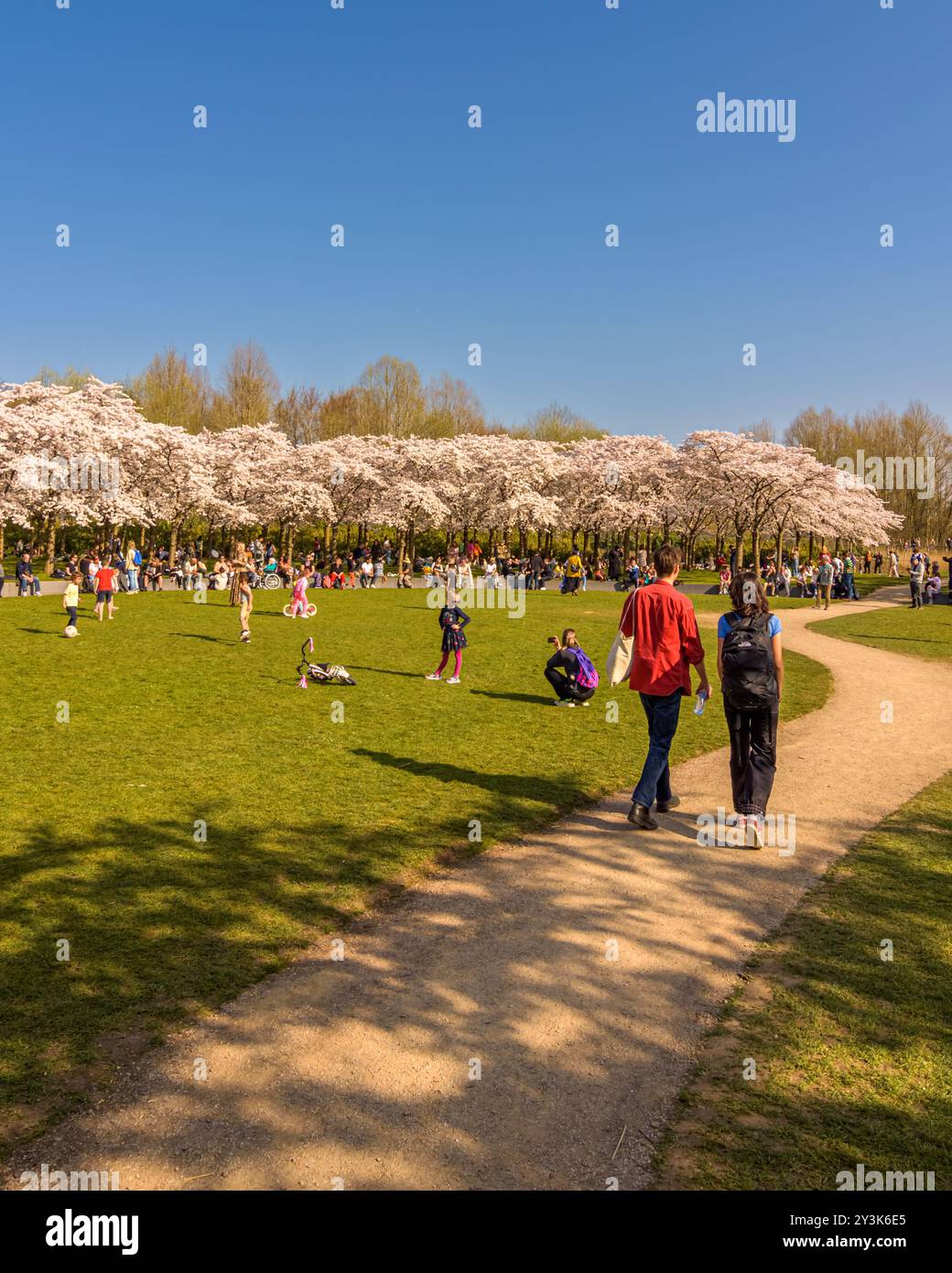 Amsterdam, pays-Bas - 23 mars 2022 : une journée ensoleillée et animée au Japanese Blossom Park dans le Bos d'Amsterdamse. Banque D'Images