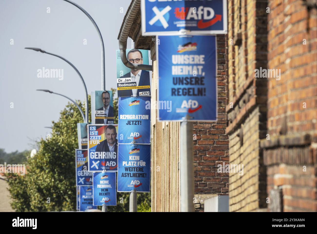 Élection d'État dans le Brandebourg 2024 : le parti AFD annonce des votes sur des affiches électorales. Teschendorf, Brandebourg, Allemagne, Europe Banque D'Images