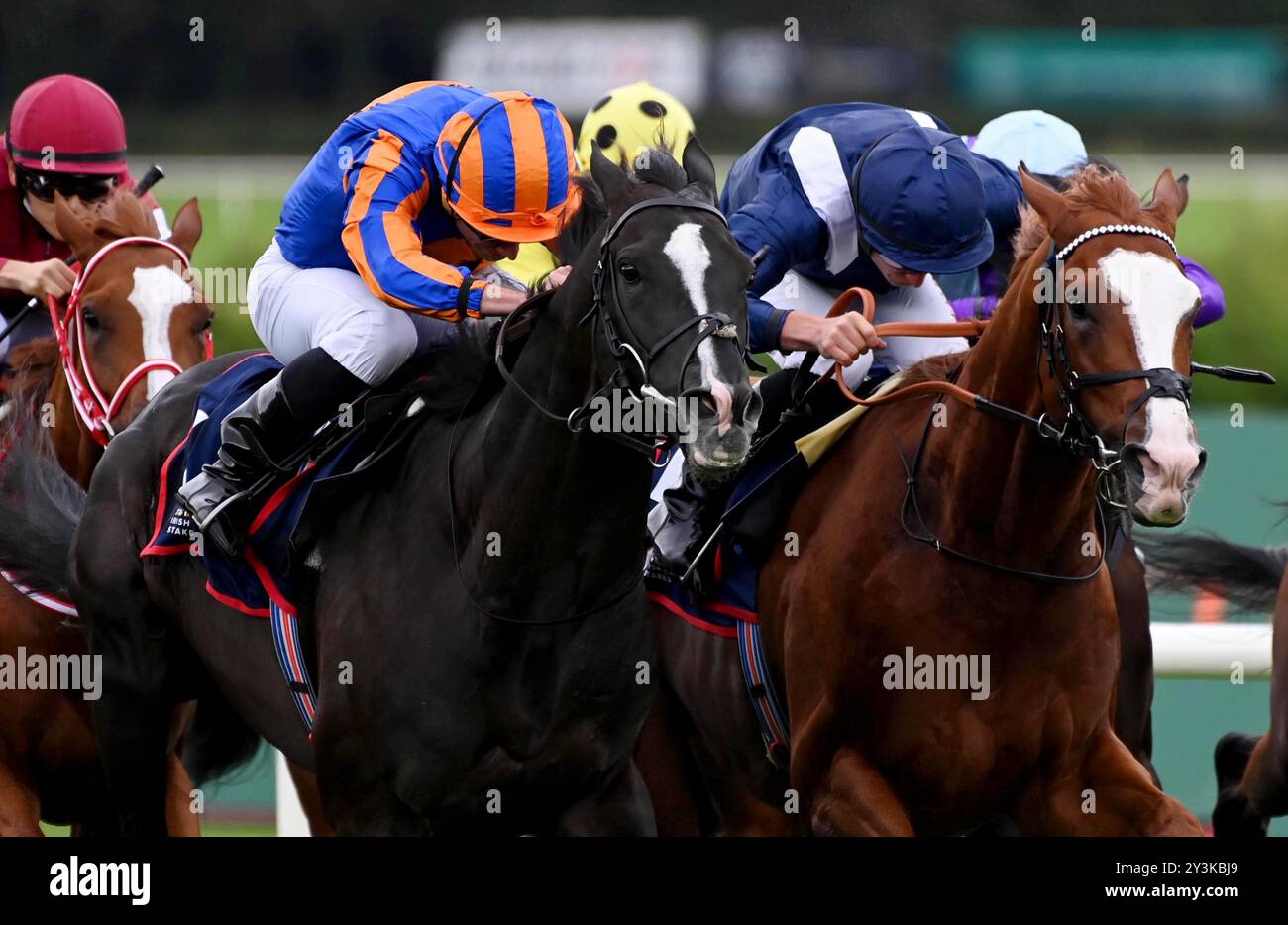 Economie (à l'avant à droite) monté par le jockey Tom Marquand sur leur chemin pour remporter les Royal Bahrain Irish Champion Stakes à Leopardstown Racecourse. Date de la photo : samedi 14 septembre 2024. Voir PA Story RACING Leopardstown. Le crédit photo devrait se lire : Healy Racing/PA Wire. RESTRICTIONS : utilisation sujette à restrictions. Utilisation éditoriale uniquement, aucune utilisation commerciale sans le consentement préalable du titulaire des droits. Banque D'Images