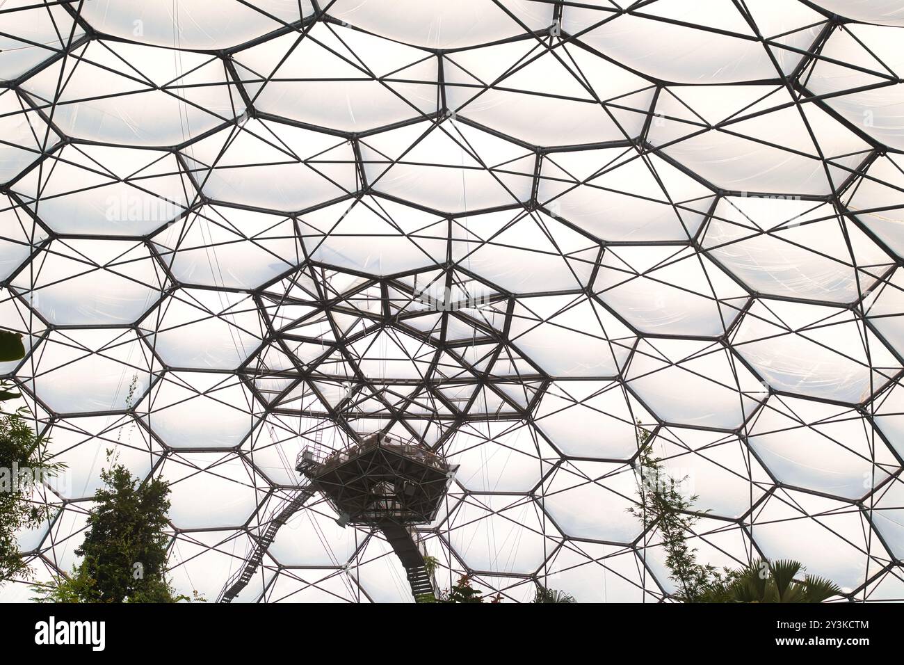 Une vue rapprochée d'une structure de dôme géodésique, mettant en valeur le cadre triangulaire complexe et les panneaux transparents. Le dôme est entouré de gre luxuriant Banque D'Images