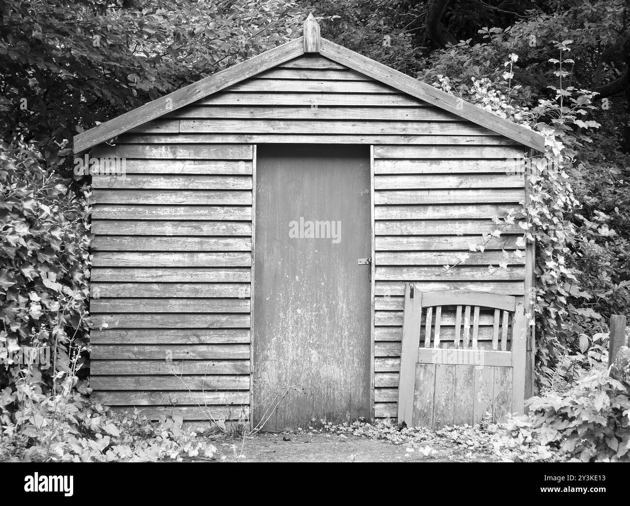 Une image monochrome d'un ancien hangar en bois avec une porte abandonnée entourée d'arbres boisés et de végétation Banque D'Images