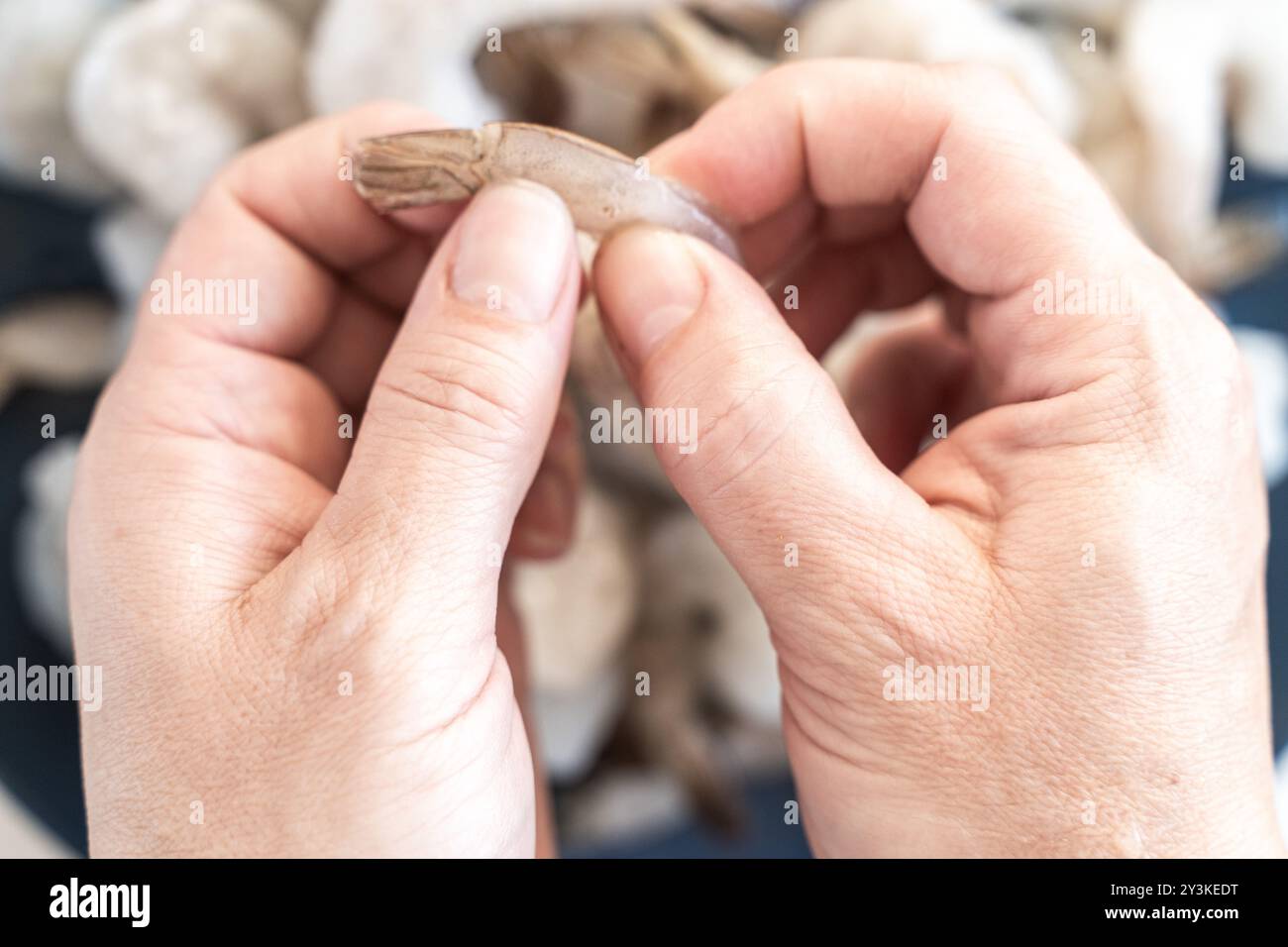 Les mains épluchent les crevettes crues royales de la coquille. Production de fruits de mer congelés. Photo de haute qualité Banque D'Images