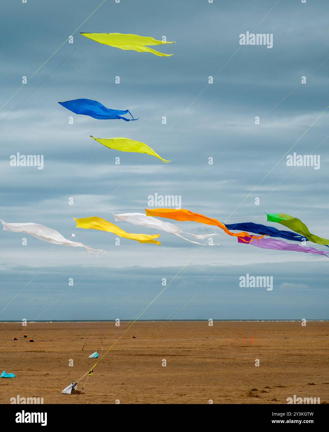 Les cerfs-volants colorés s'élèvent contre un ciel nuageux au-dessus d'une plage de sable, capturant la joie et la liberté du plaisir en plein air. Cette scène animée est parfaite pour les thèmes o Banque D'Images