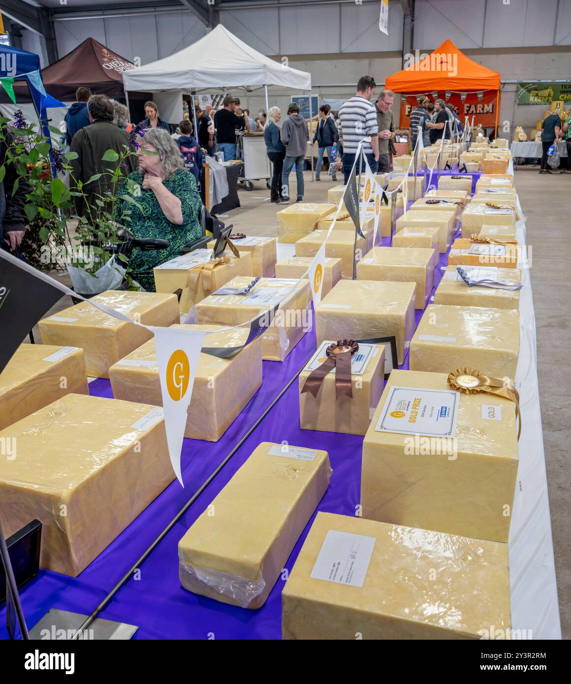 Blocs de fromages exposés pour la meilleure composition de fromage au Frome Cheese Show, Somerset, Royaume-Uni, le 14 septembre 2024 Banque D'Images