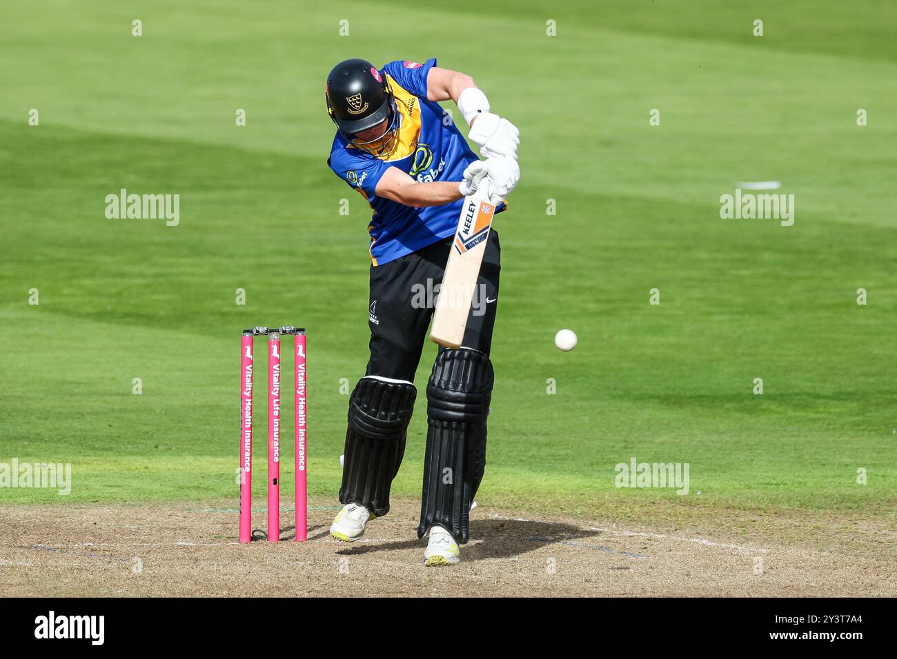 #16, Jack Carson du Sussex en action avec la batte lors du match de demi-finale entre le CCC du Gloucestershire et le CCC du Sussex lors de la Vitality Blast finals Day à Edgbaston Cricket Ground, Birmingham le samedi 14 septembre 2024. (Photo : Stuart Leggett | mi News) crédit : MI News & Sport /Alamy Live News Banque D'Images