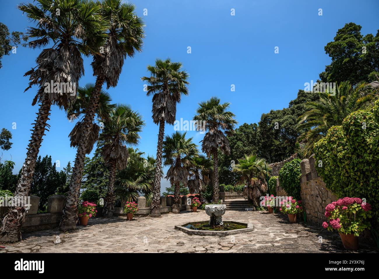 Jardins luxuriants de Vila Sassetti sur le chemin du Palais de Pena - Sintra, Portugal Banque D'Images