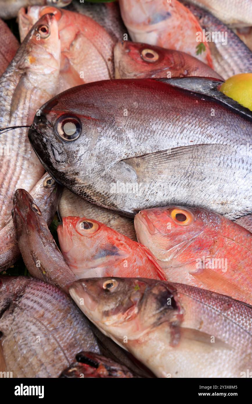 Restaurant servant du poisson grillé frais pêché dans l'océan Atlantique à Essaouira, Maroc. Essaouira, Province d'Essaouira, région de Marrakech-Safi, Atlant Banque D'Images