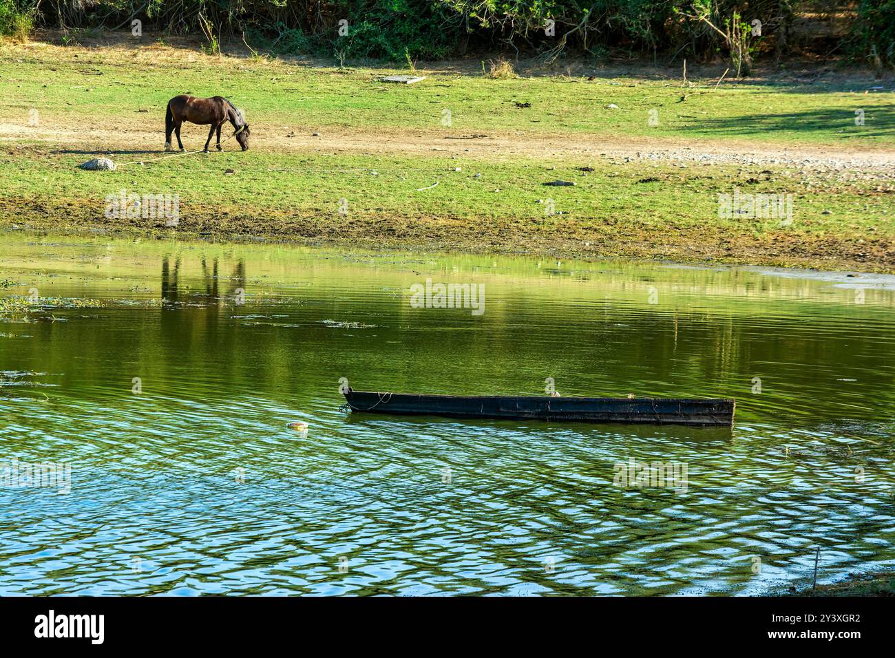 Un cheval noir pèle sur la rive herbeuse du lac Kerkini, en Grèce, tandis qu'un bateau en bois flotte sur les eaux calmes, reflétant la campagne paisible. Banque D'Images