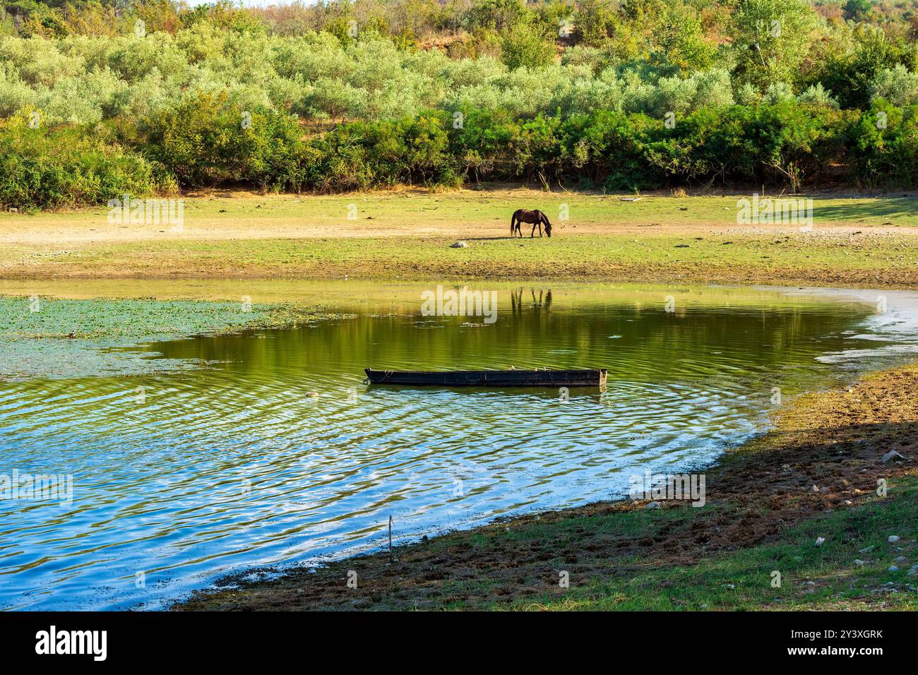 Un cheval noir pèle sur la rive herbeuse du lac Kerkini, en Grèce, tandis qu'un bateau en bois flotte sur les eaux calmes, reflétant la campagne paisible. Banque D'Images