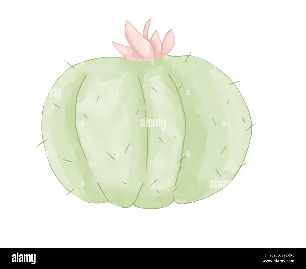 Cactus Vert rond avec fleur rose sur le dessus Aquarelle illustration de style numérique couleur enfants lumière et lumineux pour l'impression et l'utilisation Web Banque D'Images