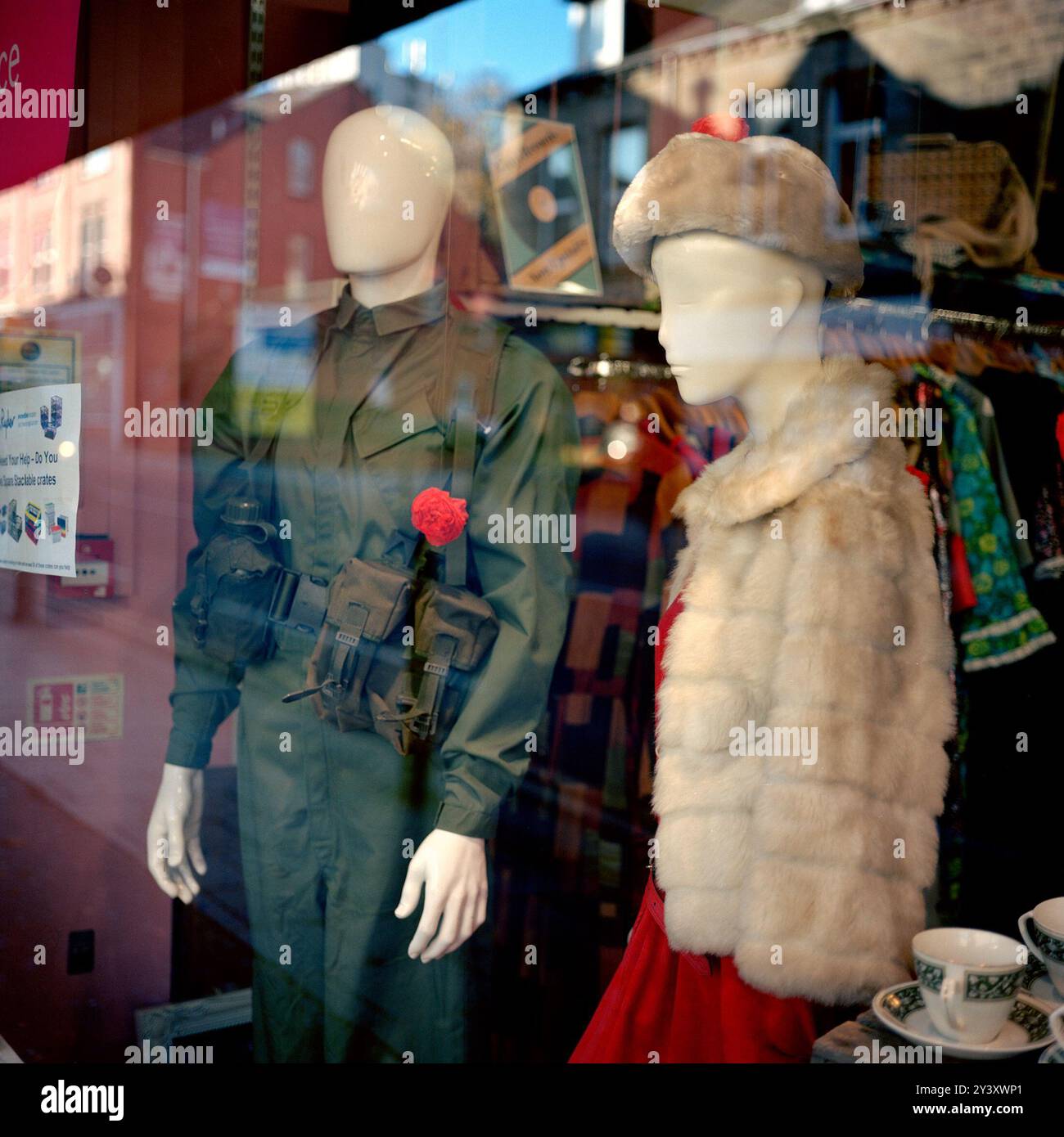 Arbres commémorant les soldats tombés dans la zone réservée à l'abattage par le conseil municipal d'Amey/Sheffield. Des arbres sains sont « remplacés » dans le cadre du contrat PFI « Streets Ahead » Highways, géré par Amey Plc pour le compte du conseil municipal de Sheffield. STAG est un «groupe parapluie» politique non-parti de groupes locaux d'action des arbres qui ont vu le jour dans toute la ville afin de s'opposer à l'abattage. Banque D'Images