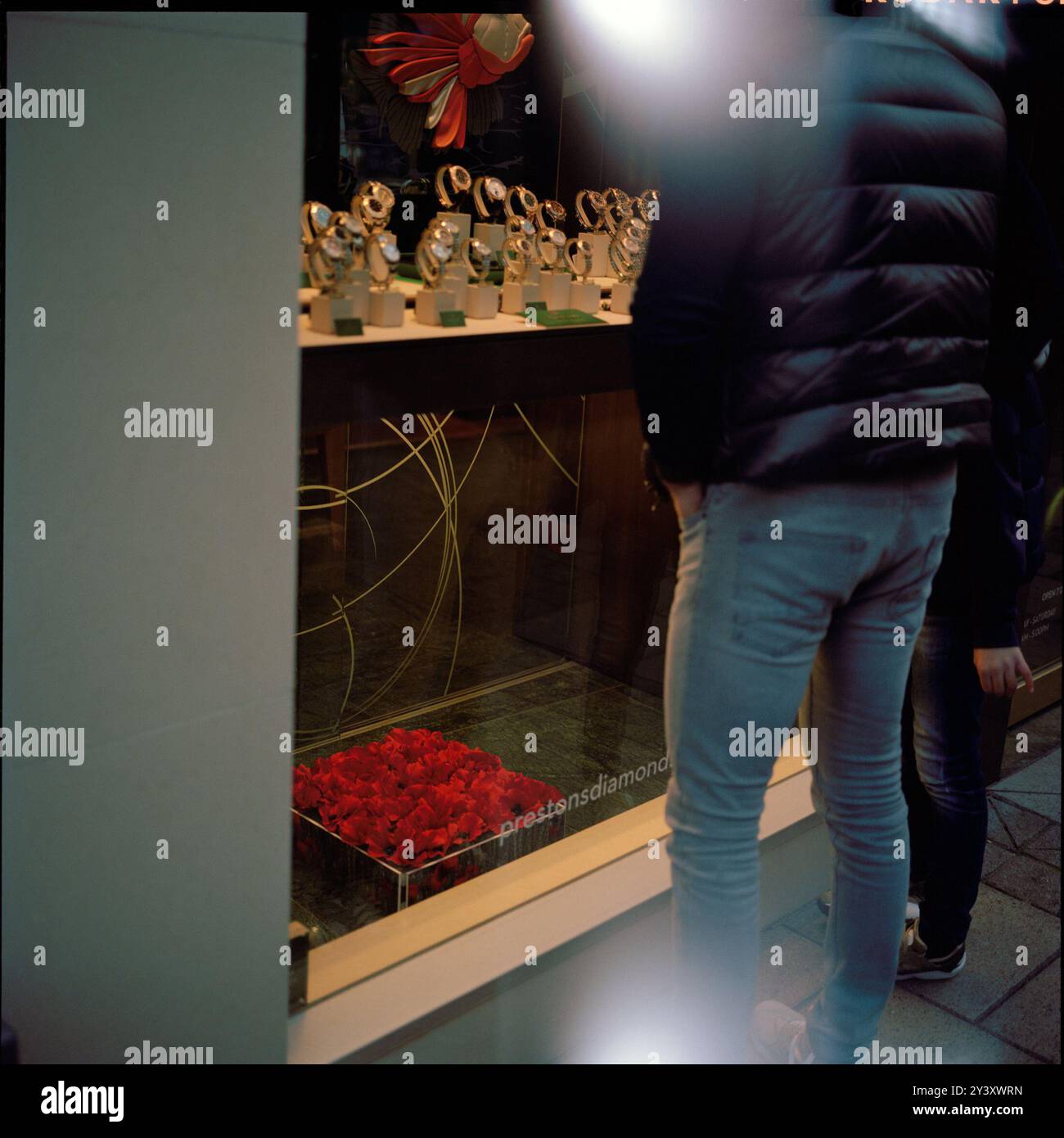 Arbres commémorant les soldats tombés dans la zone réservée à l'abattage par le conseil municipal d'Amey/Sheffield. Des arbres sains sont « remplacés » dans le cadre du contrat PFI « Streets Ahead » Highways, géré par Amey Plc pour le compte du conseil municipal de Sheffield. STAG est un «groupe parapluie» politique non-parti de groupes locaux d'action des arbres qui ont vu le jour dans toute la ville afin de s'opposer à l'abattage. Banque D'Images