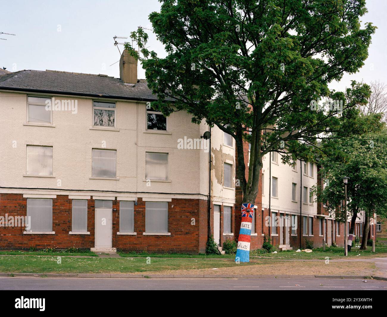 Arbres commémorant les soldats tombés dans la zone réservée à l'abattage par le conseil municipal d'Amey/Sheffield. Des arbres sains sont « remplacés » dans le cadre du contrat PFI « Streets Ahead » Highways, géré par Amey Plc pour le compte du conseil municipal de Sheffield. STAG est un «groupe parapluie» politique non-parti de groupes locaux d'action des arbres qui ont vu le jour dans toute la ville afin de s'opposer à l'abattage. Banque D'Images