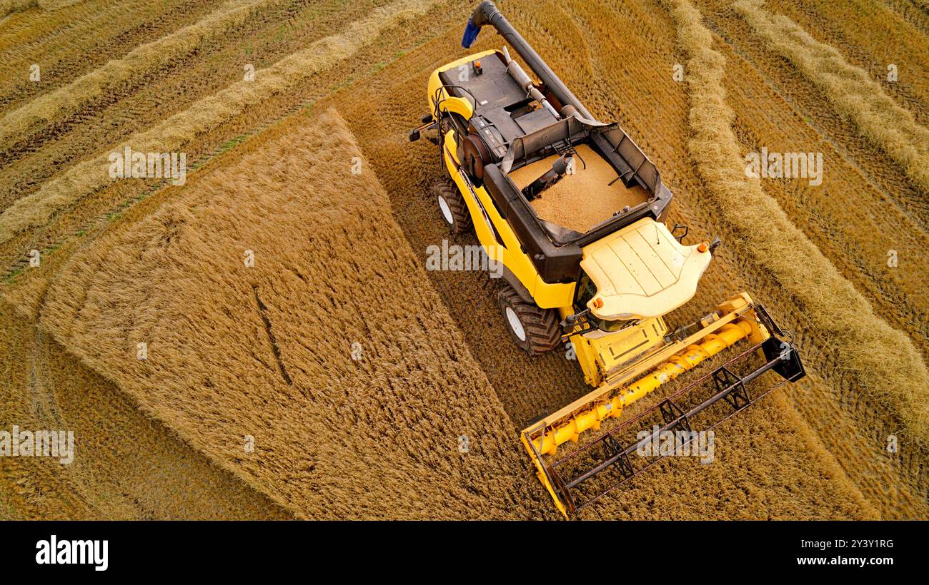 Moissonneuse-batteuse Gardenstown Aberdeenshire Scotland Harvester la fin de l'été et la trémie pleine de grain Banque D'Images