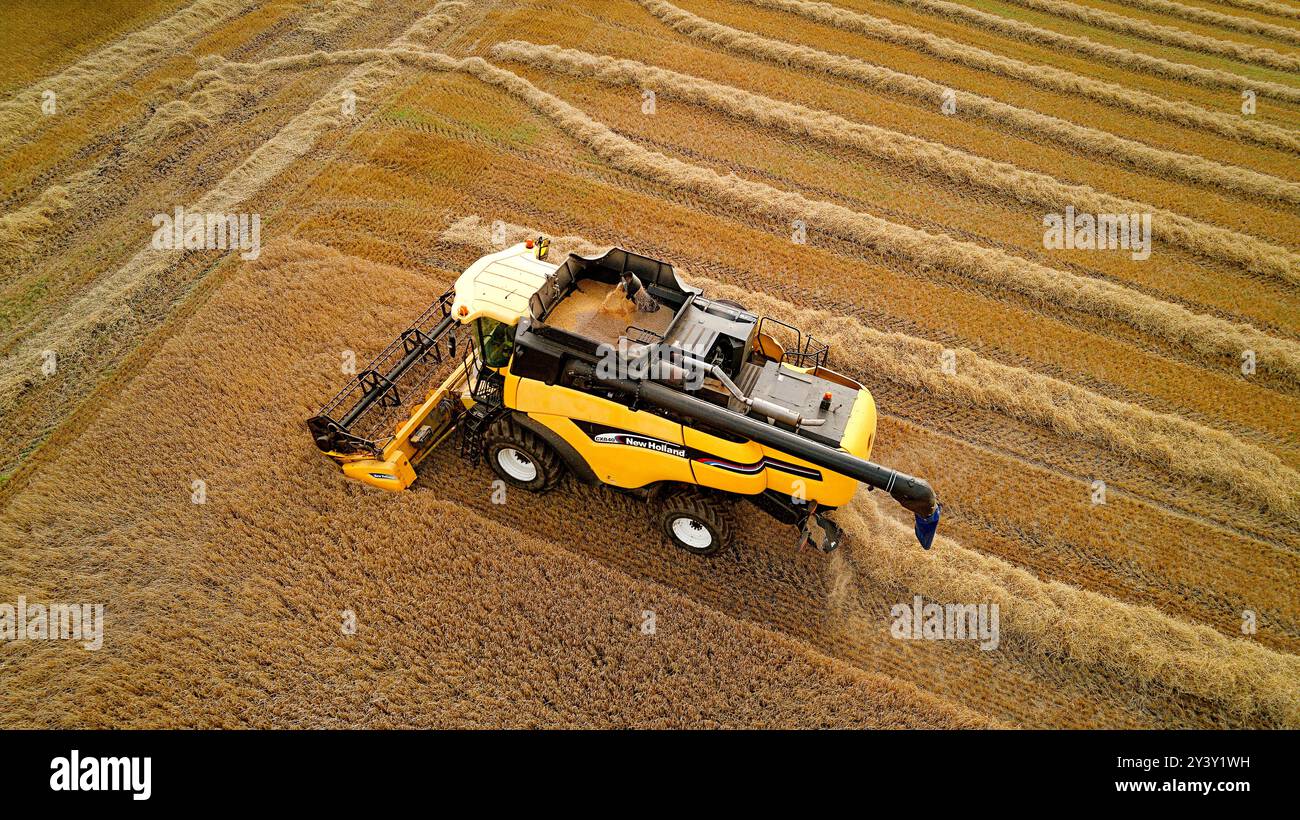 Moissonneuse-batteuse Harvester Gardenstown Aberdeenshire Scotland avec grain dans la trémie Banque D'Images
