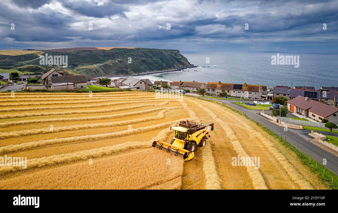 Combinez Harvester Gardenstown Aberdeenshire Scotland Houses et une récolteuse dans le champ d'orge Moray Firth au loin Banque D'Images